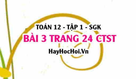 Bài 3 trang 24 Toán 12 tập 1 Chân trời sáng tạo
